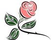 Edible flower rose