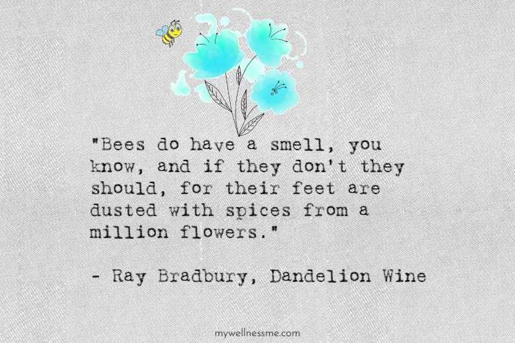 Dandelion Wine quote