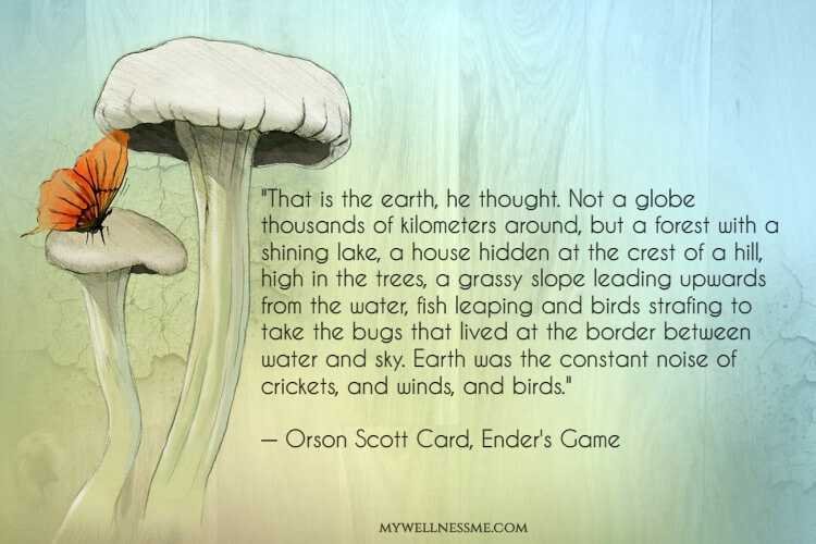 Ender's Game quote