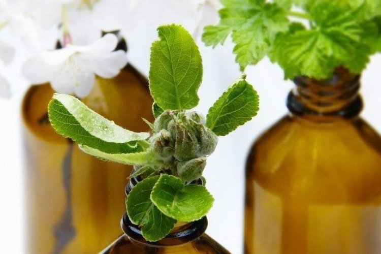 22 DIY Aromatherapy Massage Oils - Free Essential Oil Recipe Guide