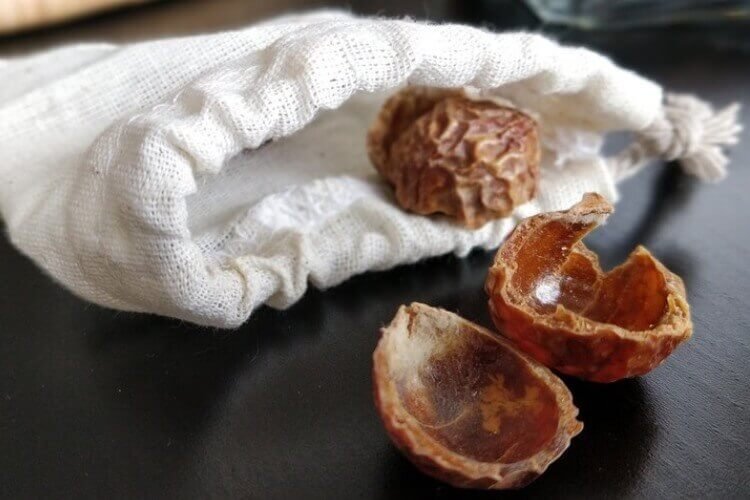 Soapnuts in a breathable white bag