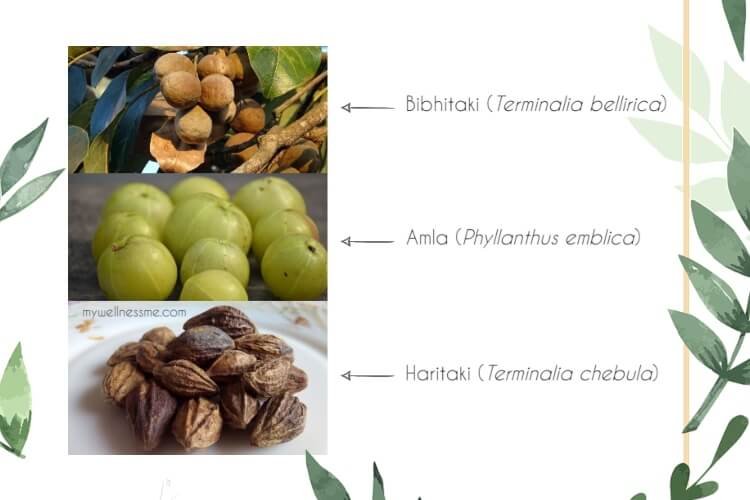 Triphala Ingredients