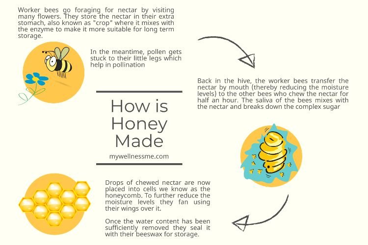 Honey making process illustration