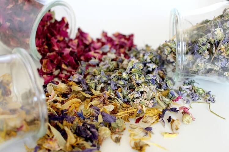 Dry herbs in glass bottles